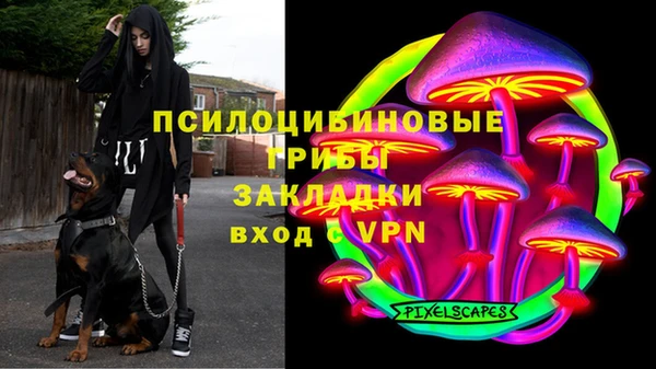 соль ск Арсеньев